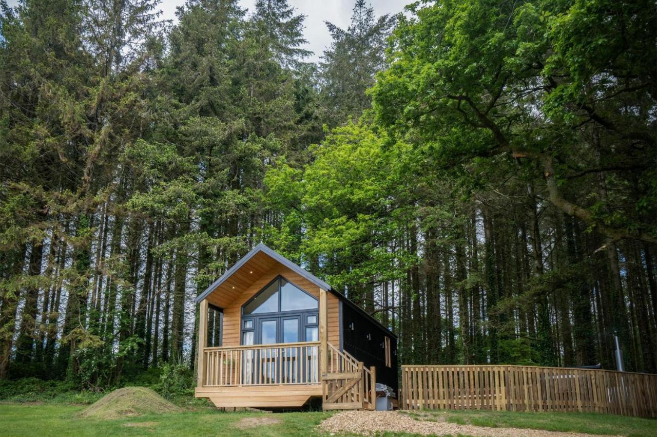 Cabin In The Woods - 1 Bedroom Lodge - Kilgetty Stepaside  Экстерьер фото
