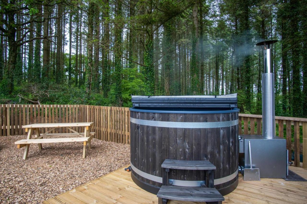 Cabin In The Woods - 1 Bedroom Lodge - Kilgetty Stepaside  Экстерьер фото