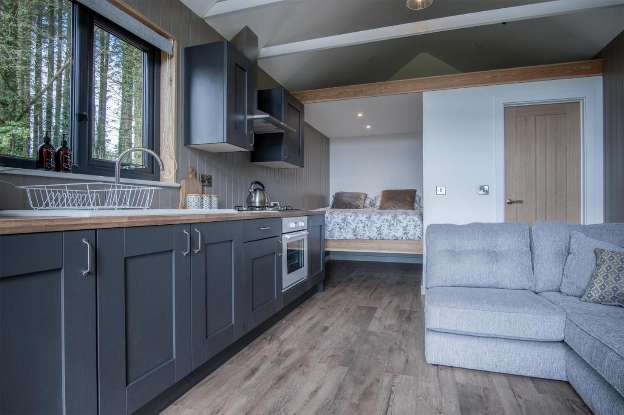 Cabin In The Woods - 1 Bedroom Lodge - Kilgetty Stepaside  Экстерьер фото