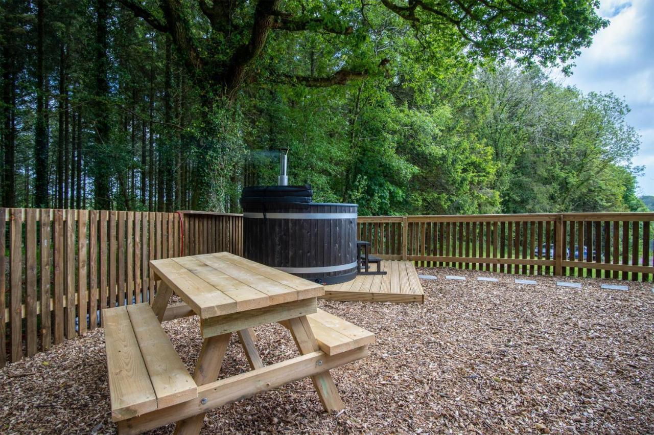 Cabin In The Woods - 1 Bedroom Lodge - Kilgetty Stepaside  Экстерьер фото