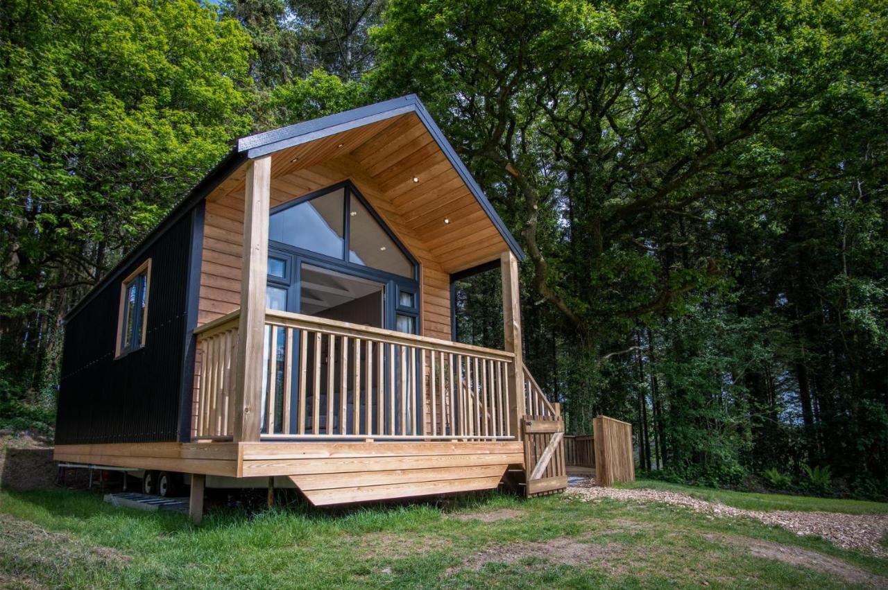 Cabin In The Woods - 1 Bedroom Lodge - Kilgetty Stepaside  Экстерьер фото