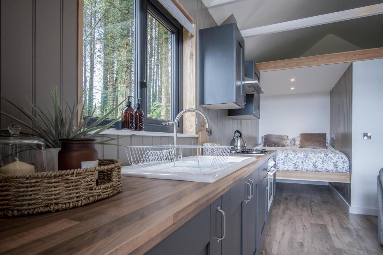 Cabin In The Woods - 1 Bedroom Lodge - Kilgetty Stepaside  Экстерьер фото
